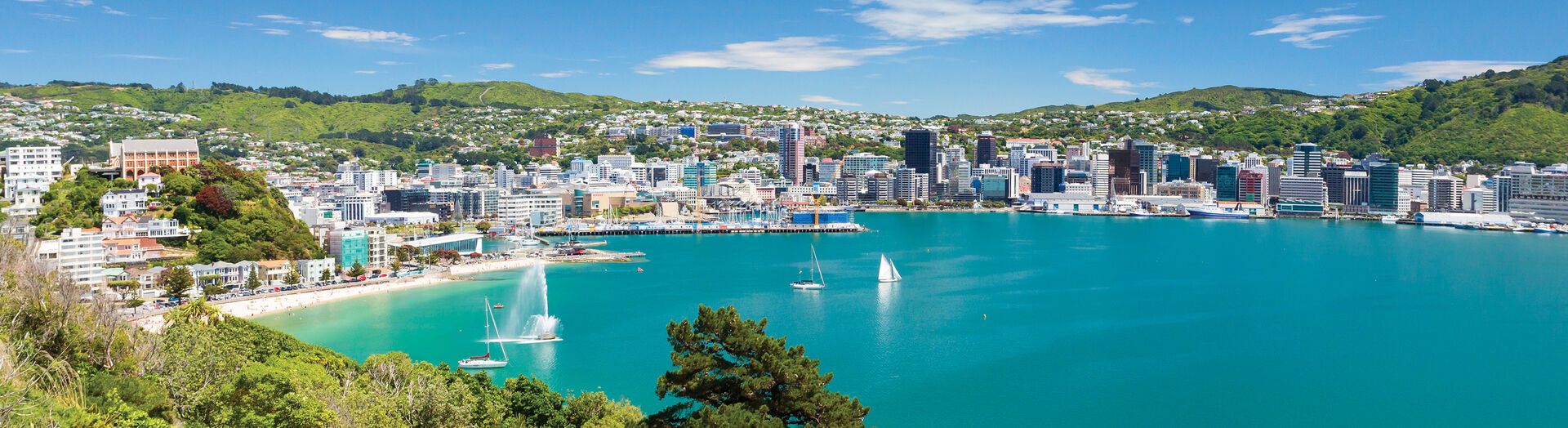 Wellington, New Zealand